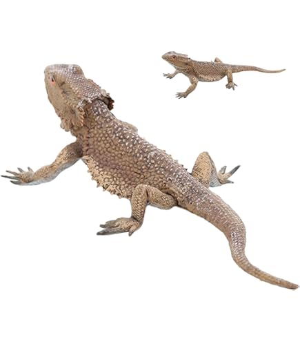 Amazon.co.jp: Safari Ltd. サファリ社 アニマルフィギュア